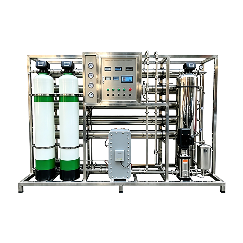 1000LPH EDI Water Treatment Plant Reverse Osmosis With EDI System