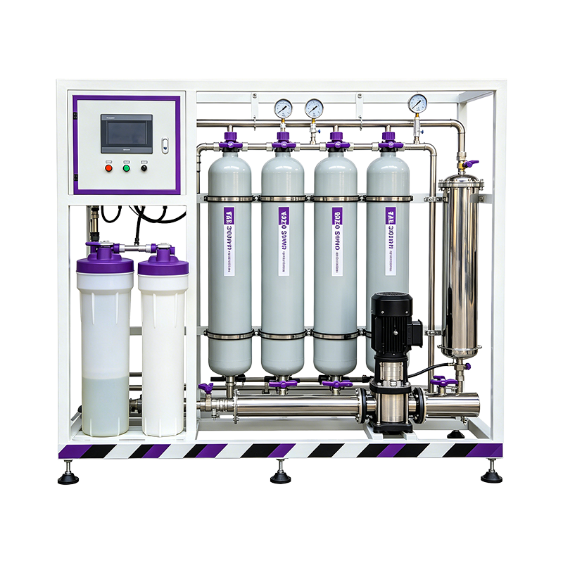 5TPH SS304 Seawater Reverse Osmosis System Salt Water Desalination Machine